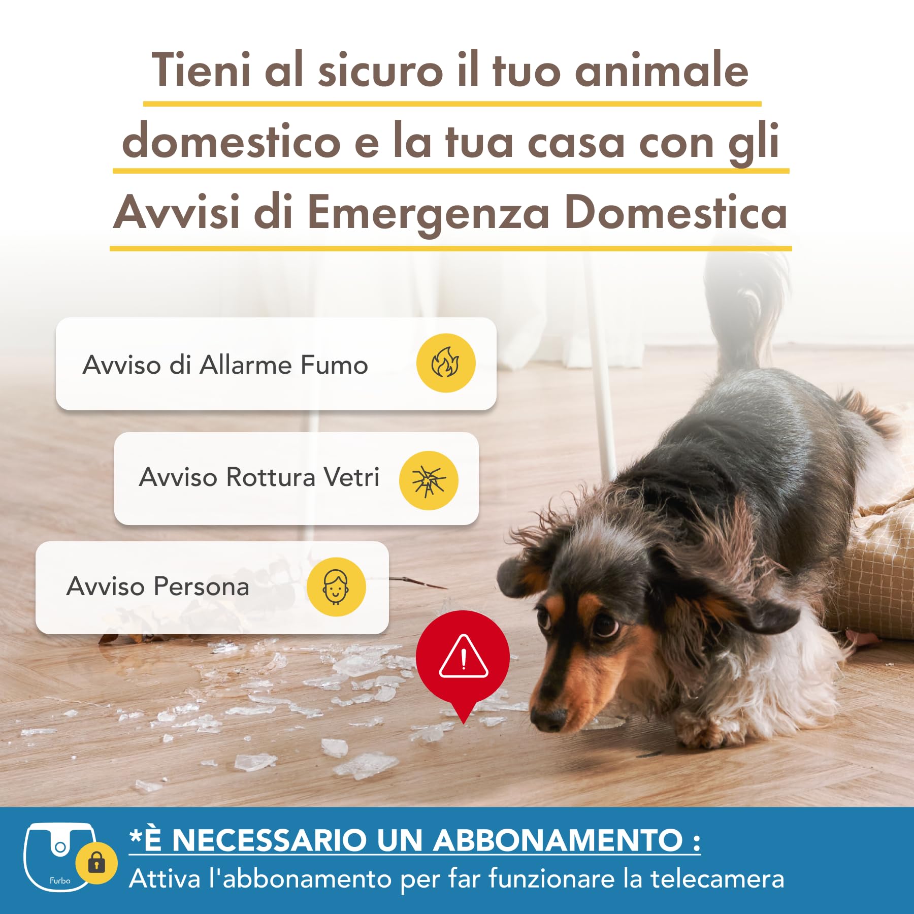 Furbo Mini Videocamera Pacchetto Sicurezza Casa [PREMIUM CON ABBONAMENTO]: Con app