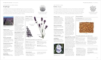 Enciclopedia de plantas medicinales (Encyclopedia of Herbal