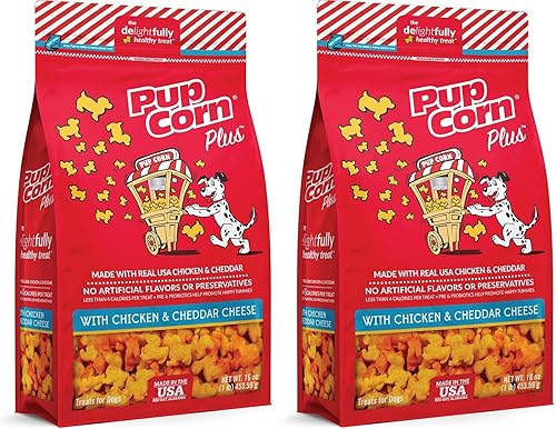 Triumph Pet Industries - Paquete de 2 golosinas PupCorn Plus de pollo y queso cheddar para perros, 16 onzas cada uno