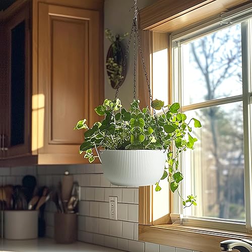 Miniatura 9 de T4U Maceta colgante de 8 pulgadas paquete de 2 cestas colgantes blancas para interiores y exteriores maceta colgante con agujero de drenaje y