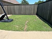 Review Image by Marisol Lopez Marisol Lopez