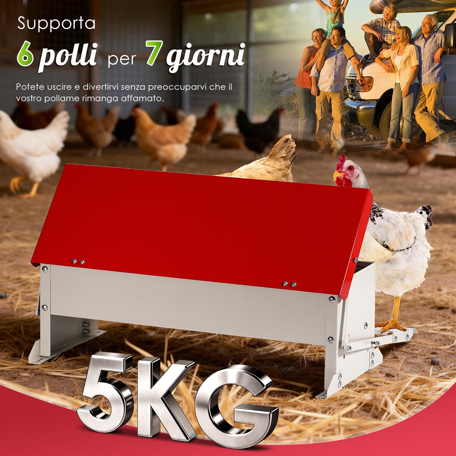 Mangiatoia per polli (volume 5 kg), acciaio zincato, meccanismo a pedana con pedana, coperchio impermeabile, mangiatoia a prova di ratti per pollame come polli, anatre, oche