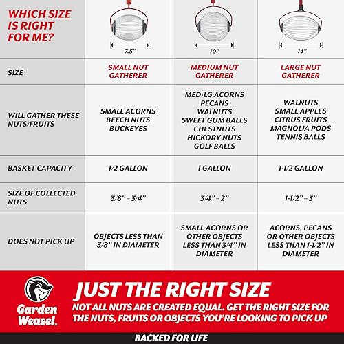 Miniatura 9 de GARDEN WEASEL Rodillo recolector de nueces grande Herramienta colectora de nueces para nueces, pelotas de goma de mascar dulce, pelotas de tenis y
