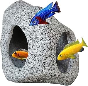 Tips Fish Tank for Buying and Caring for Beginners 4 Tips Fish Tank for Buying and Caring for Beginners 1
