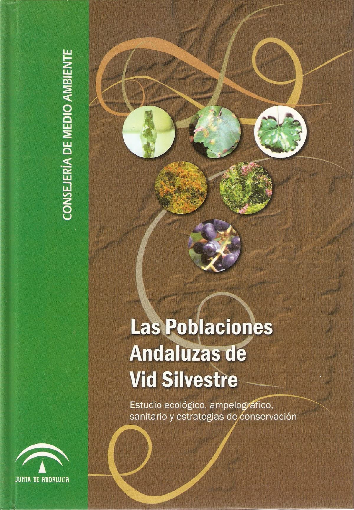 Las poblaciones andaluzas de vid silvestre : estudio ecológico, ampelográfico, sanitario y estrategias de conservación