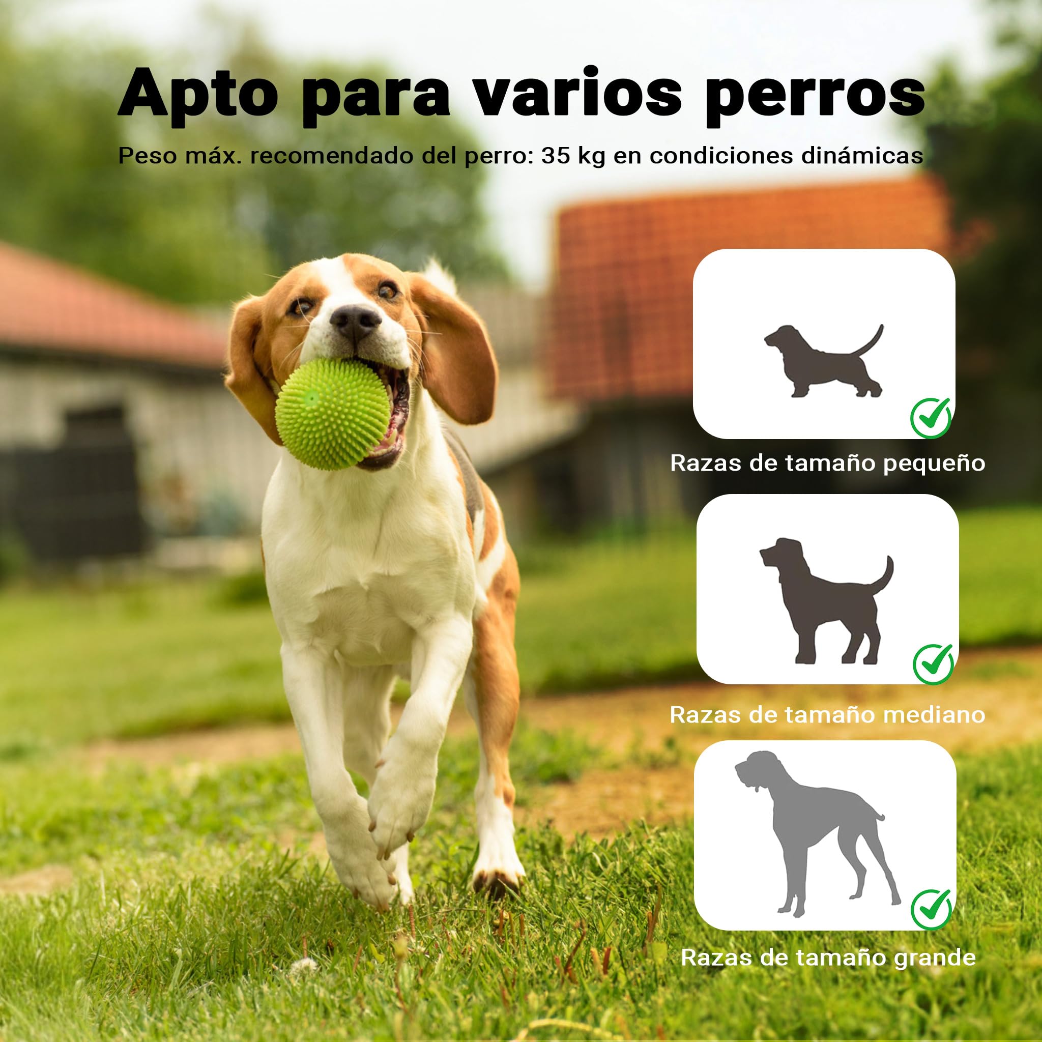 Balancín Perros Agility Ejercicio Mascotas Entrenamiento canino Animales Juguetes Animales Exterior