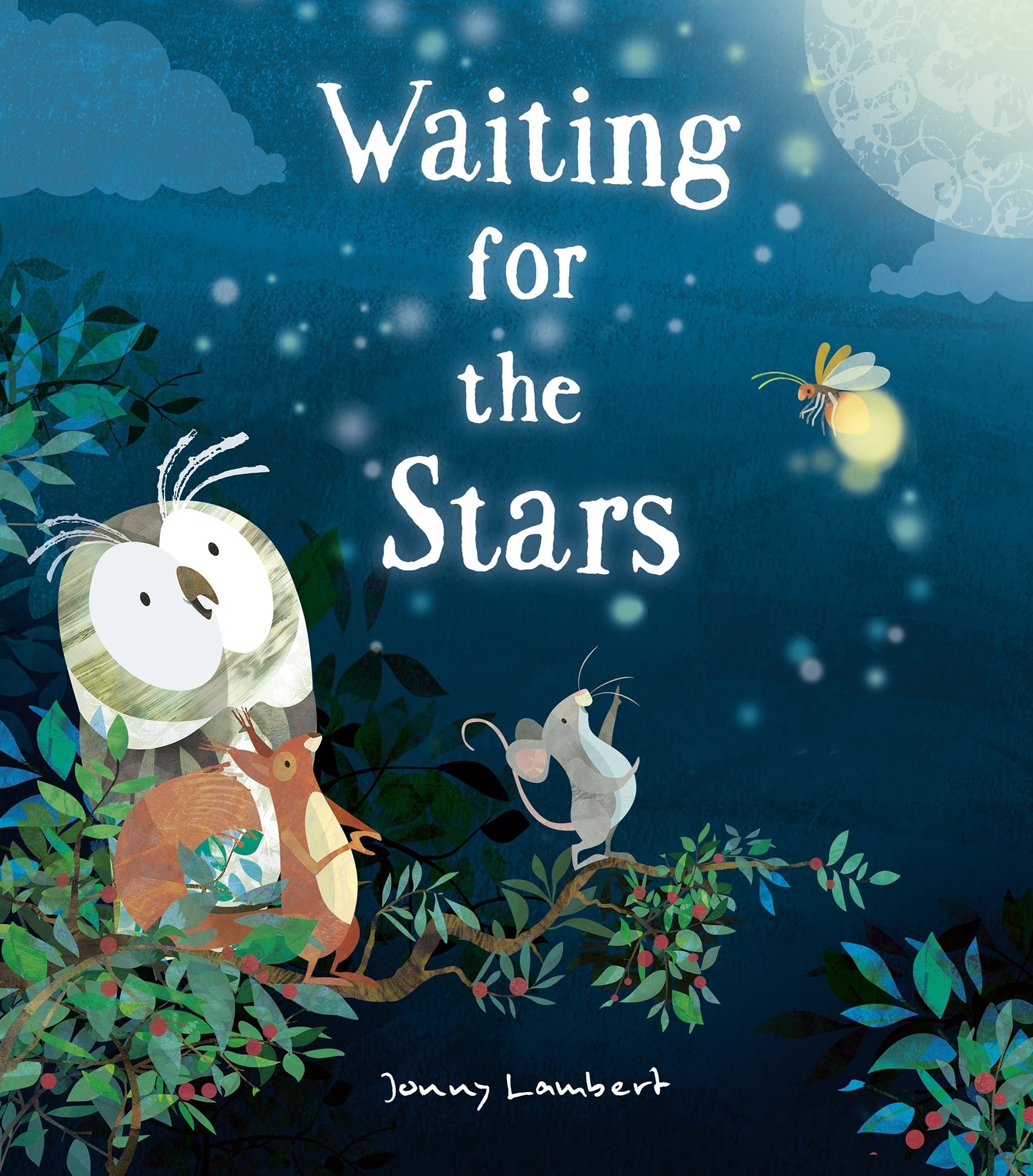 Waiting for the Stars by Jonny Lambert (Hardback Book)