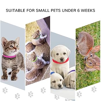 QZKJQDD Welpen Halsbänder 24 Stück - 12 Farben, Weich & Verstellbar Für Züchter