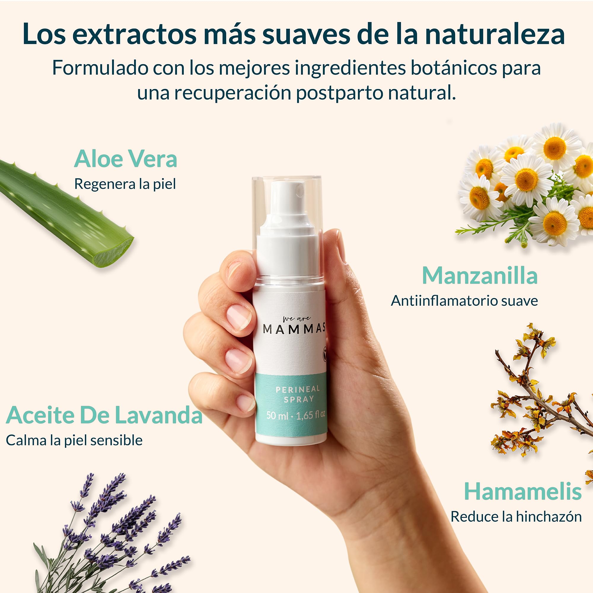 Kit Postparto Recuperación Perineal Braguitas Desechables Compresas Hospitalarias Botella Perineal Spray Calmante Sales Baño Pad Frio Calor Cuidado Intimo Postparto Higiene Recuperación Madre