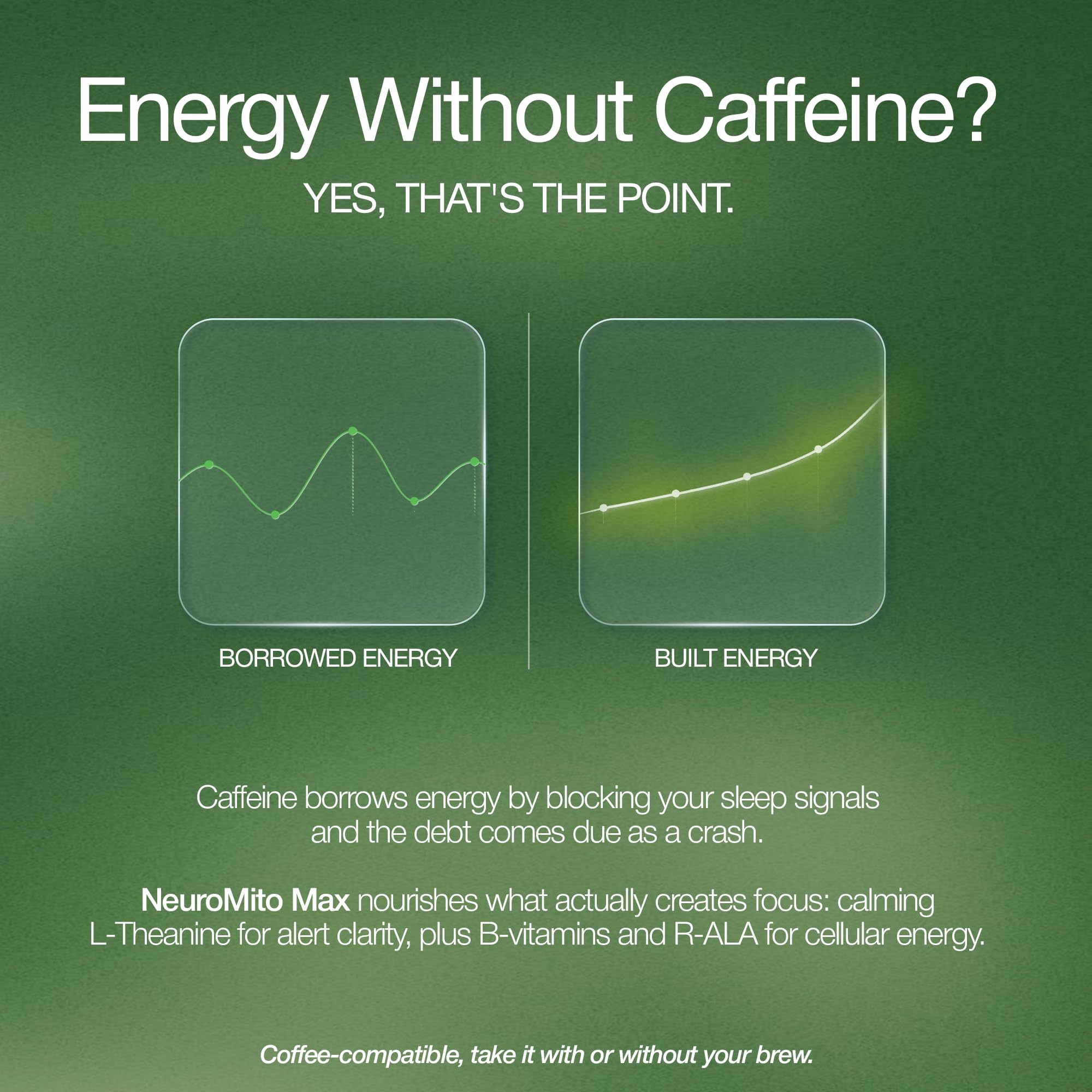 Catalytic NeuroMito Max | Caffeine-Free Focus & Energy Supplement for Brain Memory, Concentration & Mental Clarity | Suntheanine L-Theanine + Bacopa (Brahmi) | Men & Women | 60 Veg Caps (30-Day) — Amazon image 3