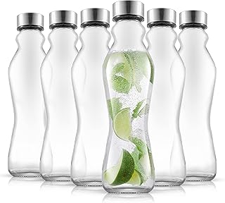 JoyJolt Spring Glass Water Bottles Set of 6-18 oz Glass Bottles with Stainless Steel Caps - Glass Drinking Bottles with Leakproof Lids - Reusable Glass Juice Bottle - Container Bottle Set