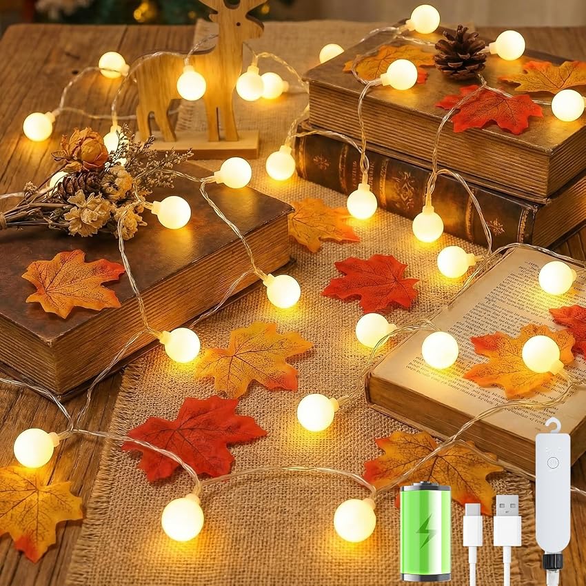 Giliwosy Catena Luminosa Esterno Interno, 60LEDs 10M Luci LED a Batteria con USB 8