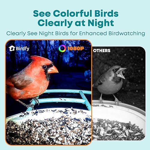 Miniatura 5 de NETVUE by Birdfy - Alimentador inteligente para pájaros con cámara AI alimentado por energía solar, observación inalámbrica de aves silvestres de 2