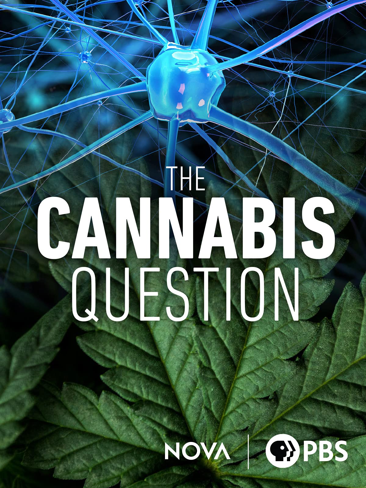The Cannabis Question