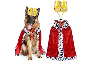 King Costume for Dogs of Majestic Proportions: A Regal Attire for Halloween Extravaganza