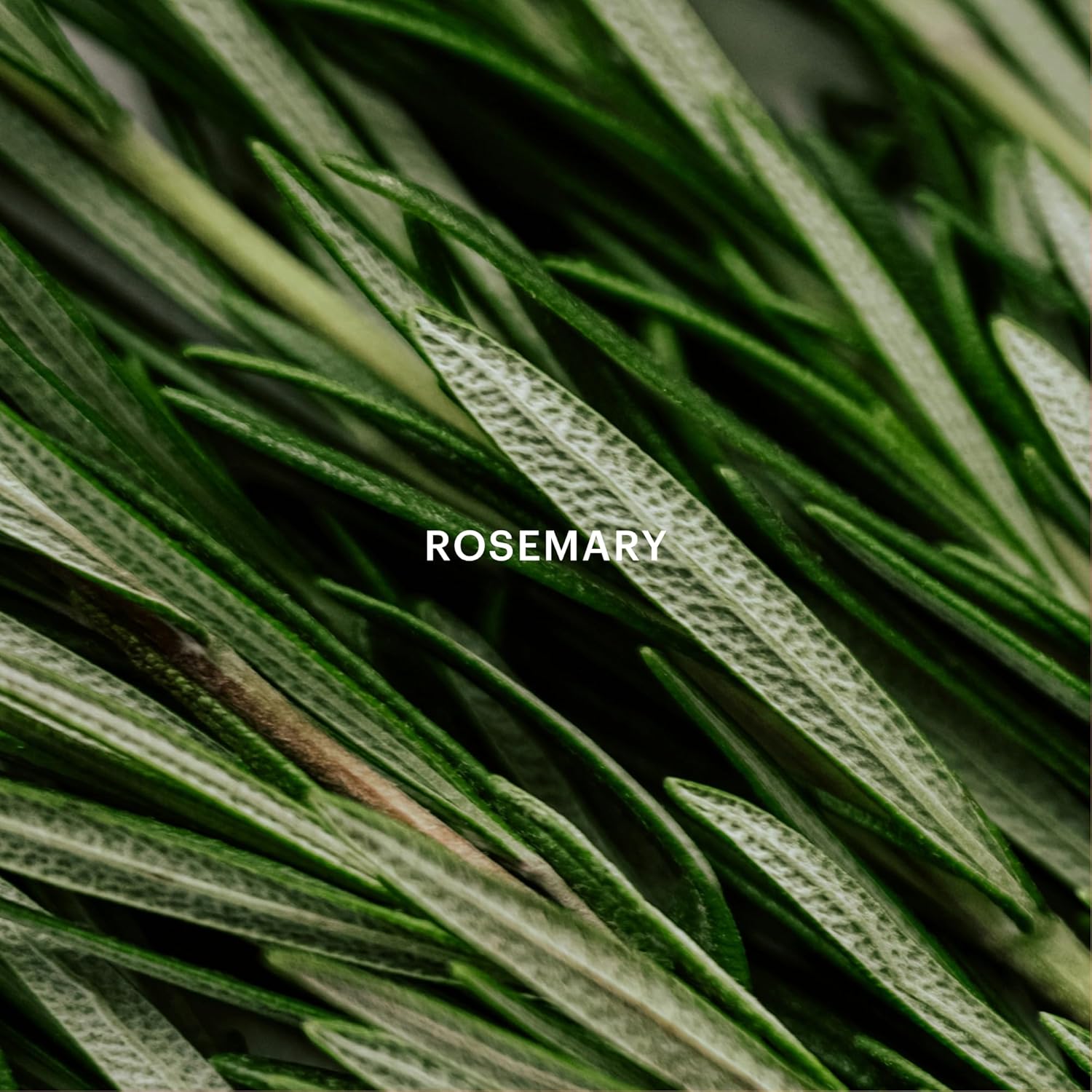 Aera The Emerald Spring Home Fragrance Scent Refill - Notes of Peppermint and Rosemary - Works with The Aera Diffuser