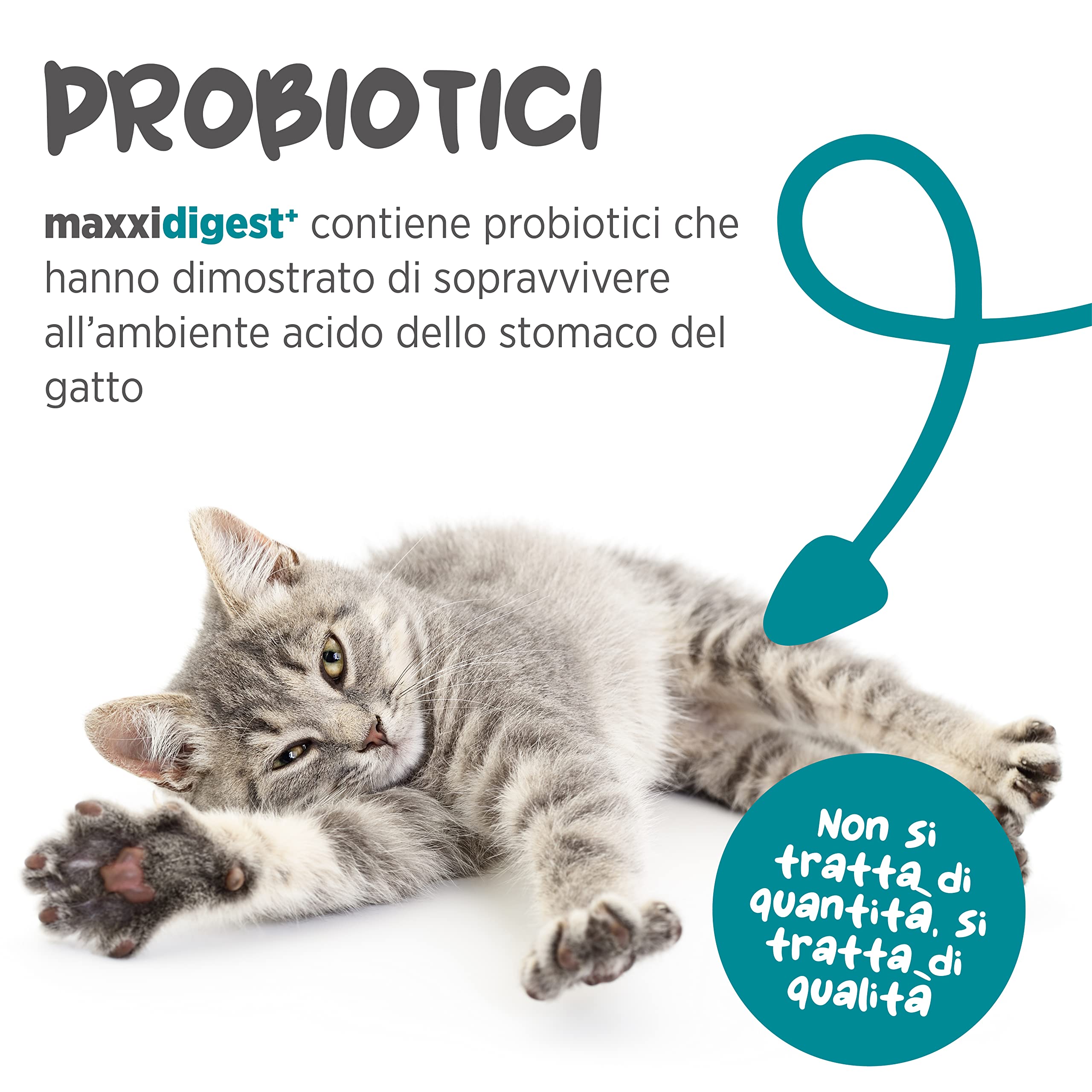 maxxipaws maxxidigest+ Prebiotici e Probiotici per Gatti - Integratore per l'Apparato Digerente e il Sistema Immunitario, 90g