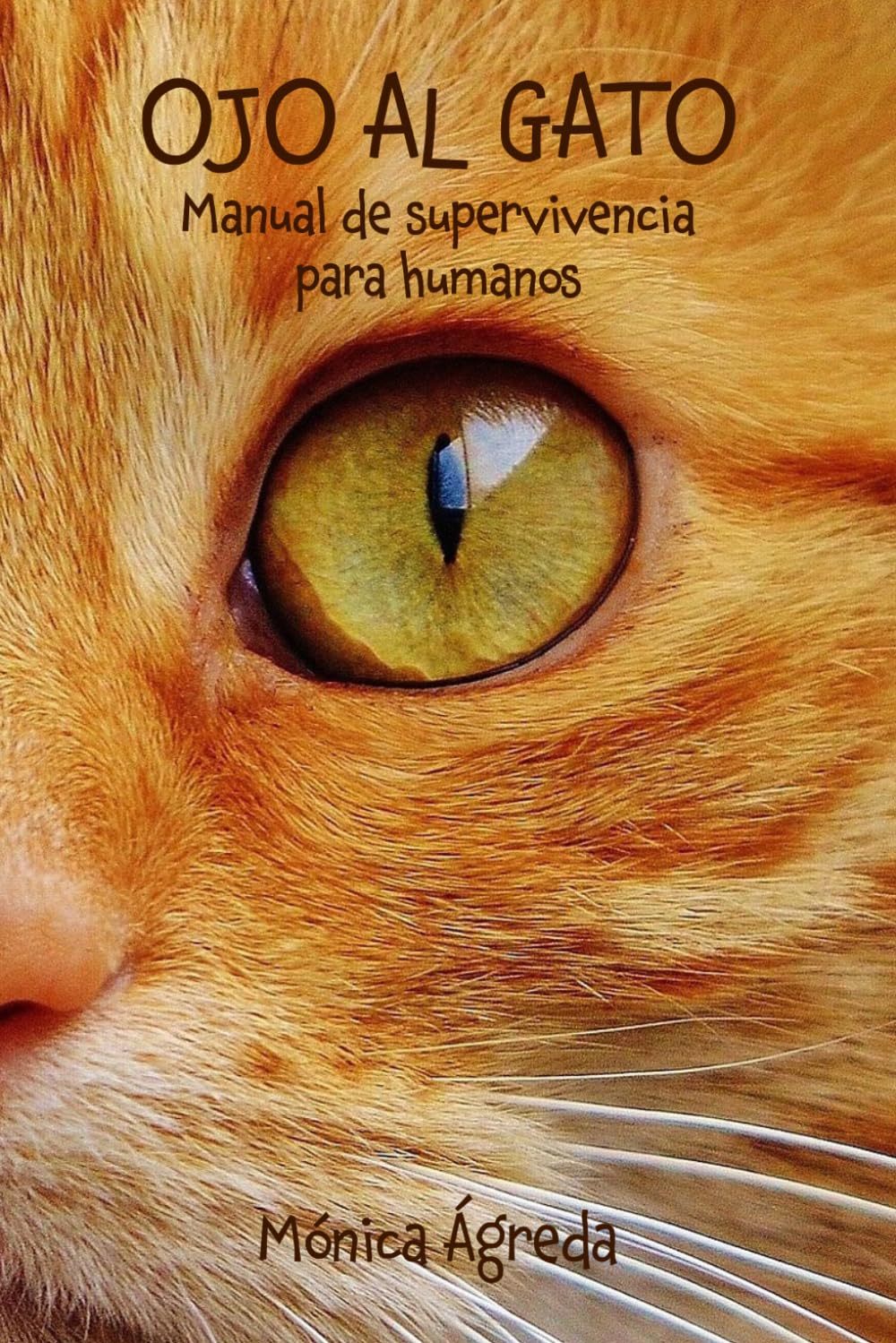 OJO AL GATO: Manual de supervivencia para humanos