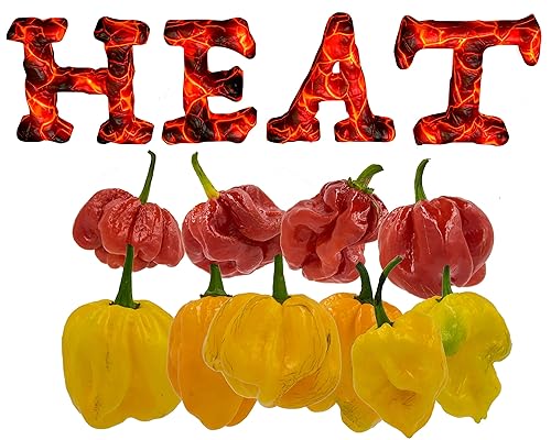 Miniatura 5 de The Sizzler 5.1 fl oz  5 oz - Salsa de pimiento picante Trinidad Scotch Bonnet - 5 onzas líquidas  Gran calor  Sabor maravilloso  Para sándwiches