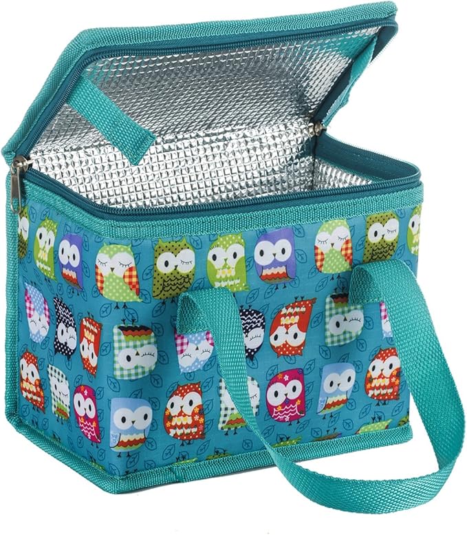TEAMOOK Folding Lunch Bag Insulated Lunch Box Cool Bag Green Owl 6 cans