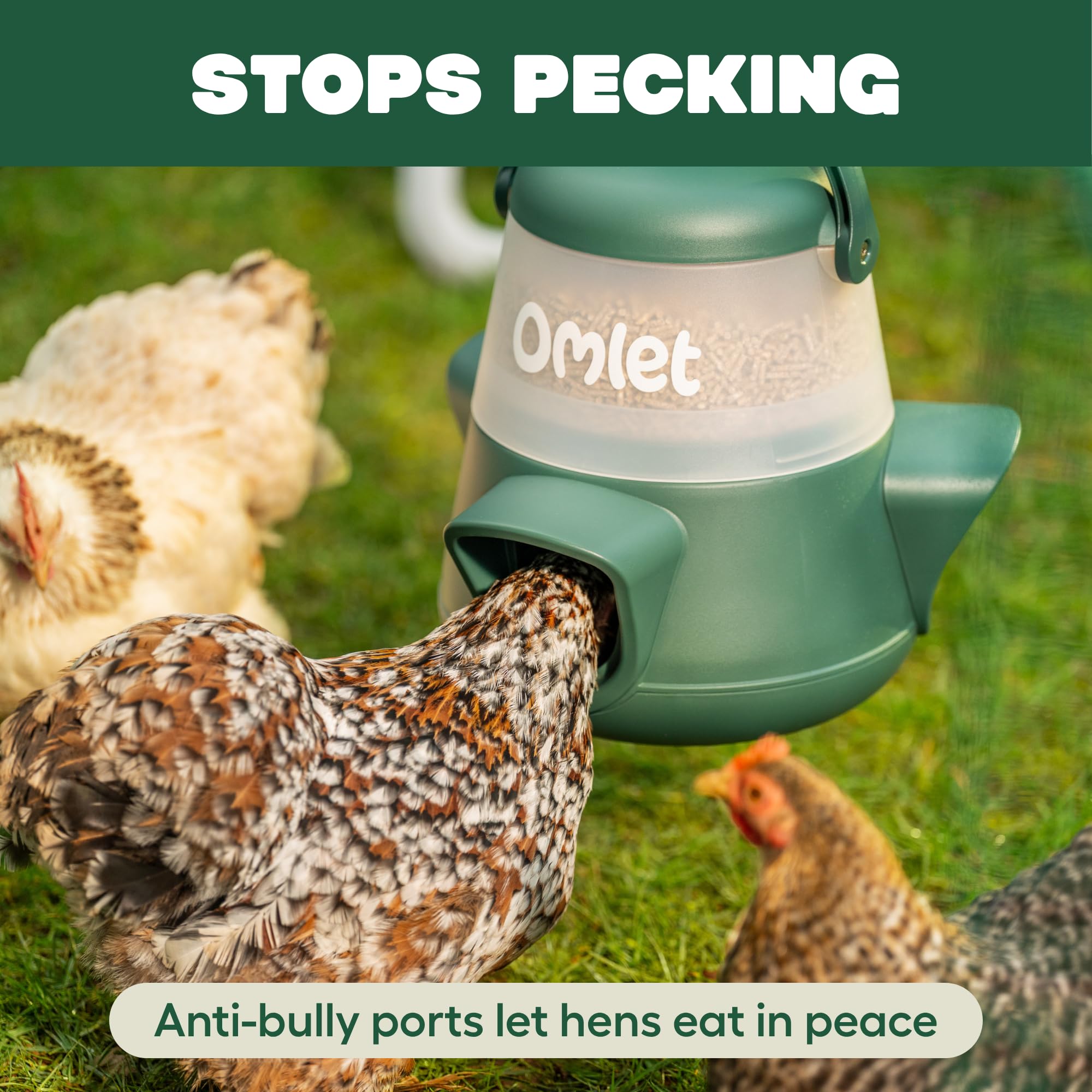 Omlet Comedero de pollo sin residuos para gallinero, comedero antiderrame para aves de corral con 3 puertos de alimentación, colgante o de pie, resistente a la intemperie, 2,5 kg