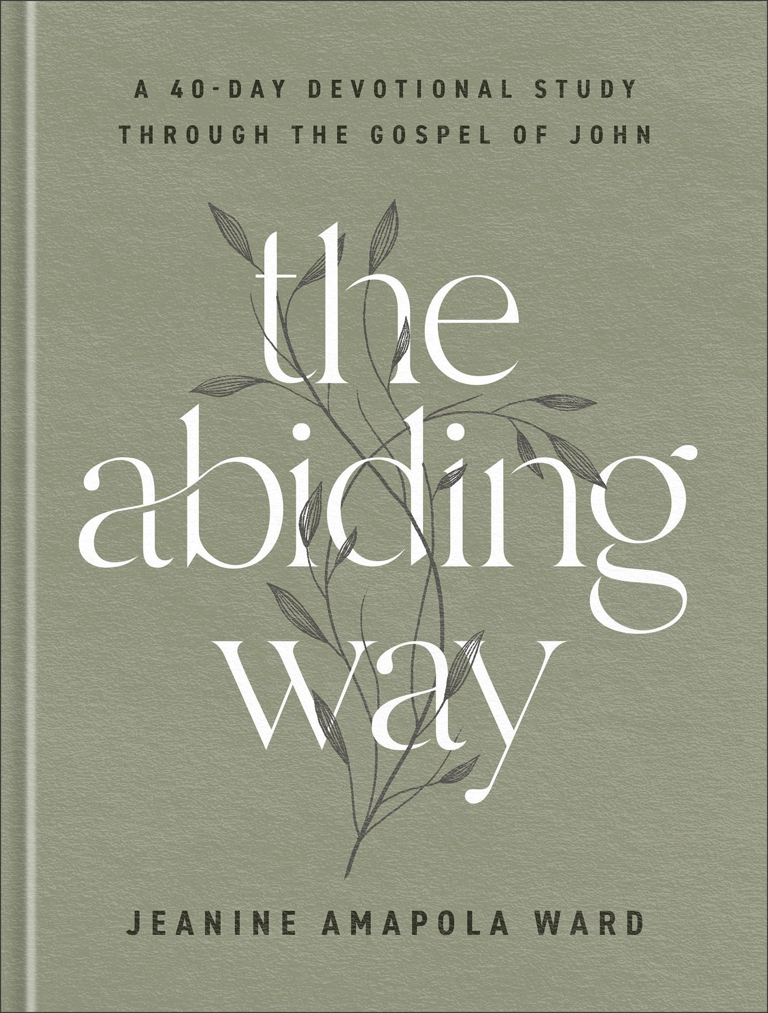 The Abiding Way: A 40-Day Devotional Study Through the Gospel of John
