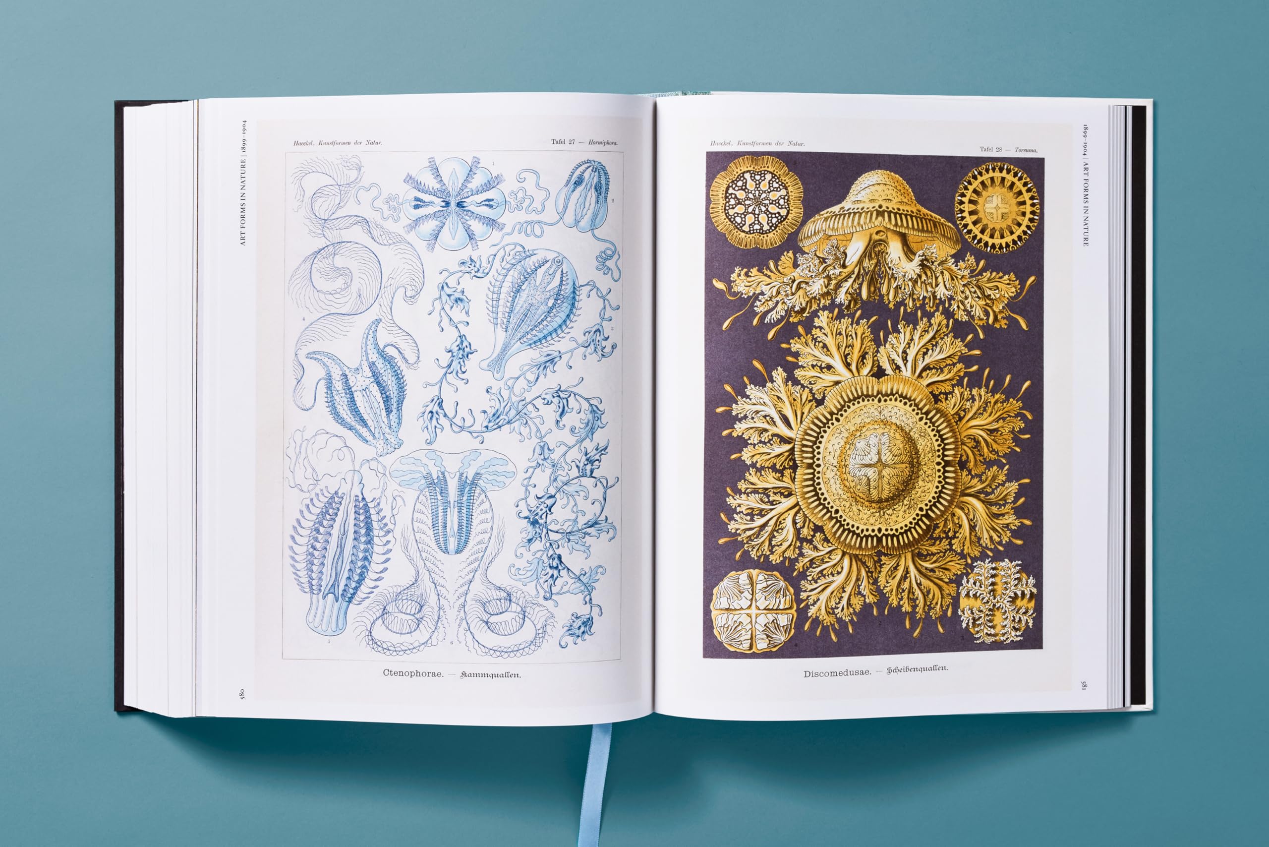 The Art and Science of Ernst Haeckel