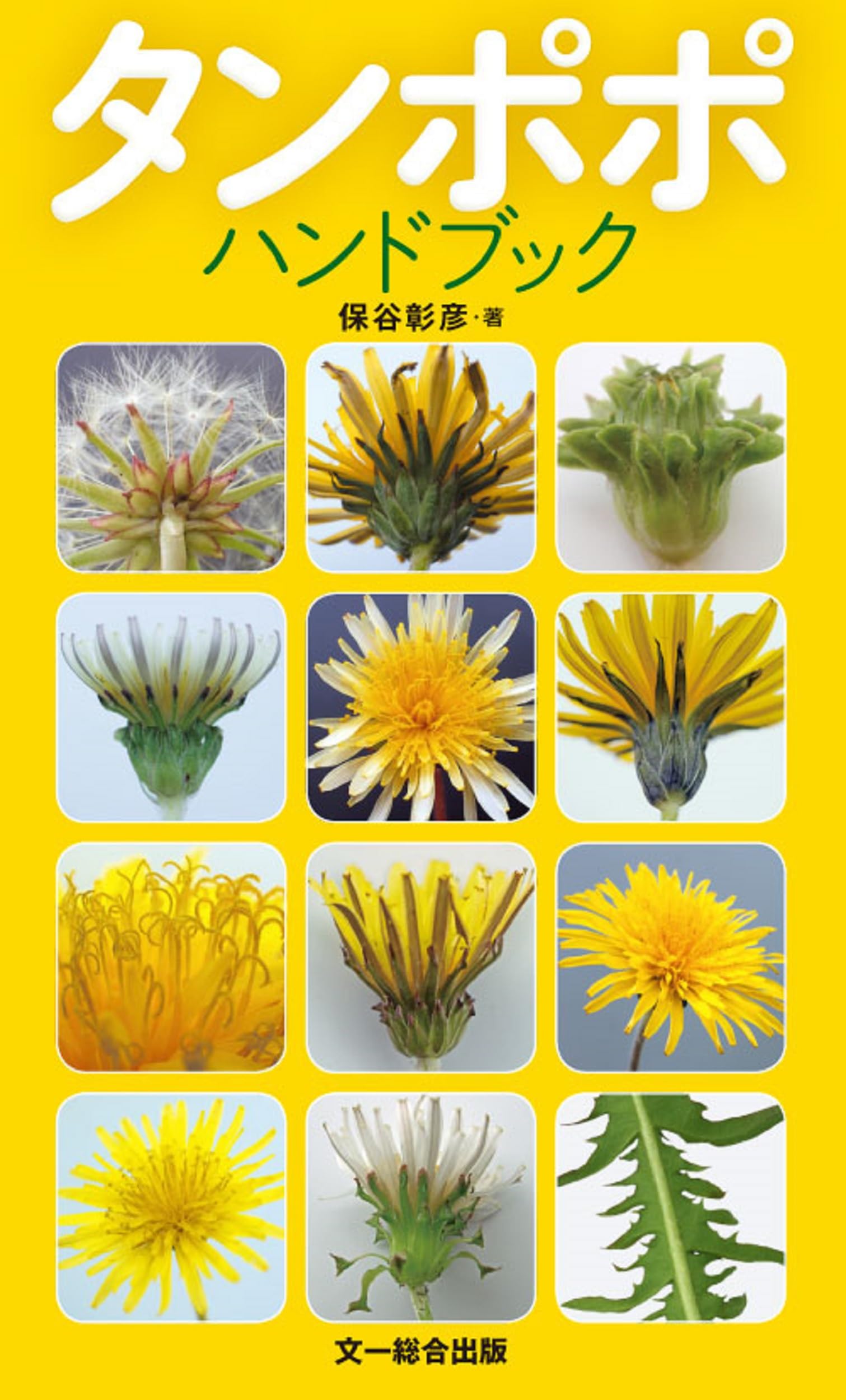 タンポポハンドブック | 保谷 彰彦 |本 | 通販 | Amazon