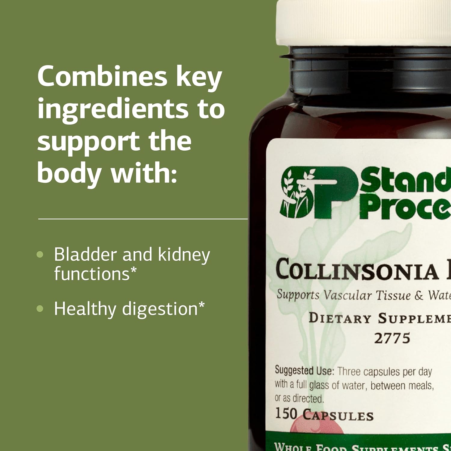 Standard Process Collinsonia Root - Healthy Vascular Tissue Support Supplement - Bladder & Kidney Health Supplement with Collinsonia Root - Supplement to Aid Digestive Health - 150 Capsules