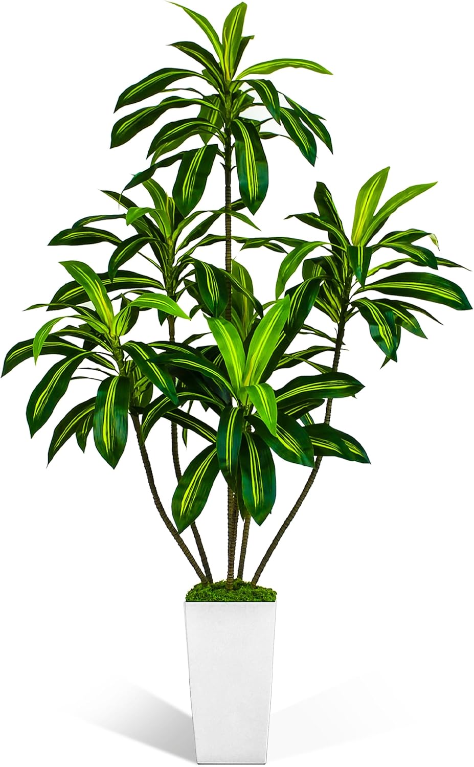 Artificial Dracaena Tree 6FT, 6 Feet Tall Fake Tree for Home Decor Indoor with Modern Style Planter, Artificial Silk Tree for Home Office Living Room Decor Indoor, Lifelike & Lush (White)