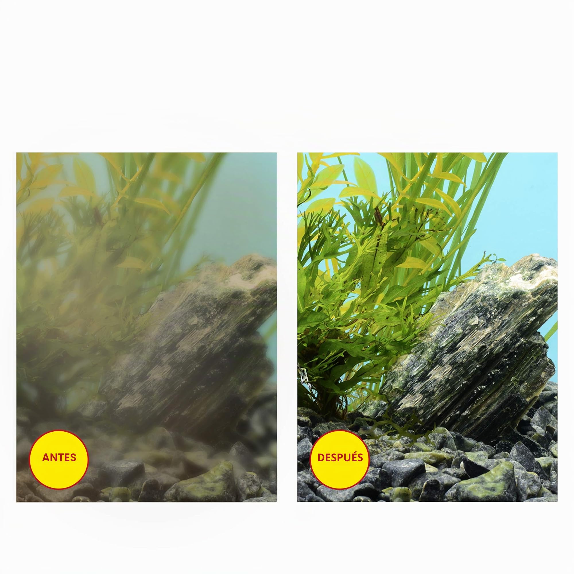 CIANO, Acuario Consumibles - Cartuchos de Filtro de Repuesto para Filtro de Acuario, Paquete de 3 Meses, Talla L, Agua cristalina para Peces, sin impurezas y sin olores, Limpieza eficaz