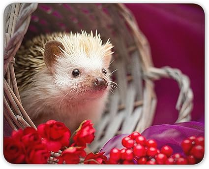 Amazon バスケットマウスマットパッドでかわいい赤ちゃんハリネズミ 彼ハーズギフトコンピュータ Destination Vinyl Mats 家電 カメラ Amazon バスケットマウスマットパッドでかわいい赤ちゃんハリネズミ 彼ハーズギフトコンピュータ Destination Vinyl Mats 家電 カメラ