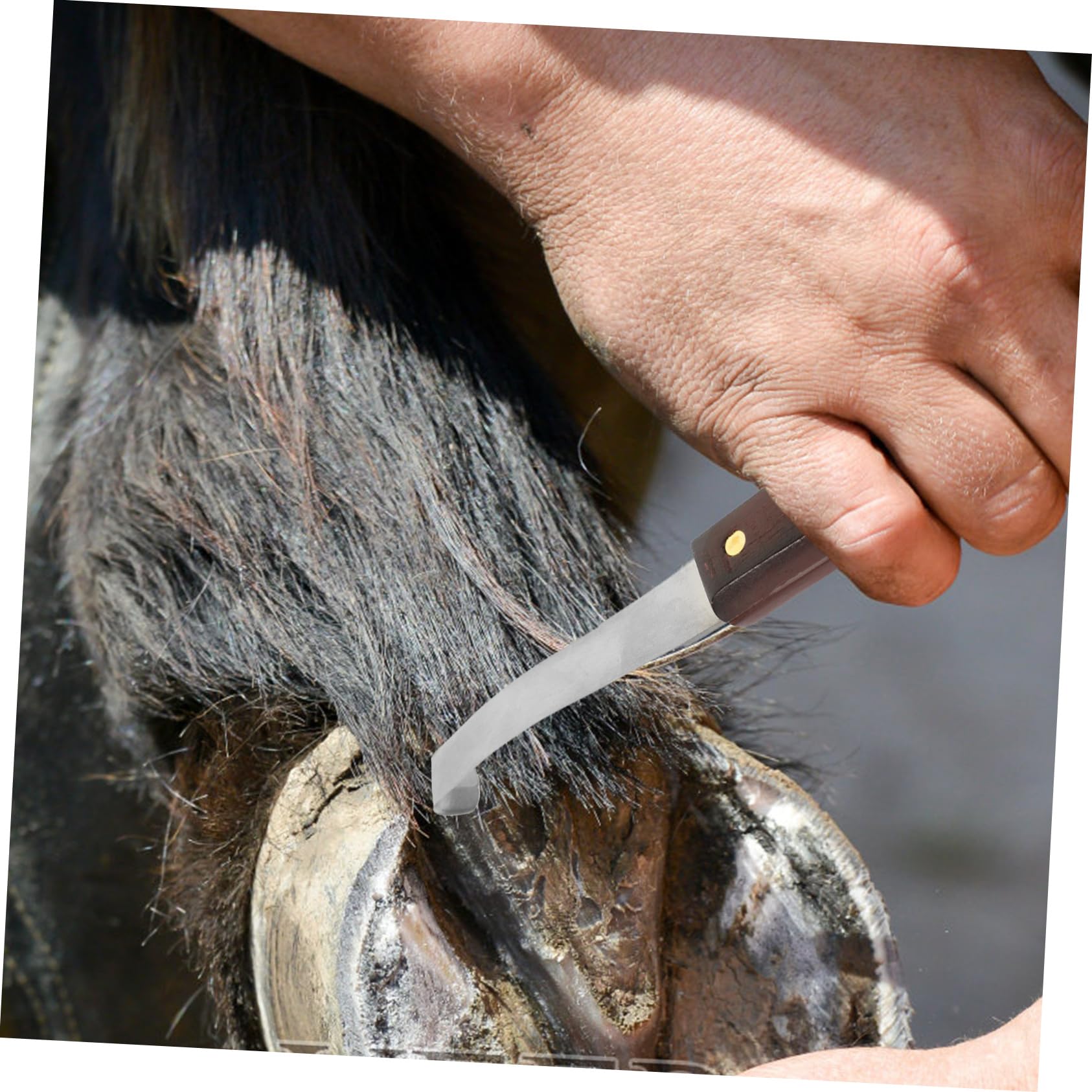 Kisangel Coupe-Sabots Résistant à l'usure, Outil Pratique Professionnel à Double Tranchant en Acier Inoxydable et Bois pour Droitier Soin des Sabots de Chevaux