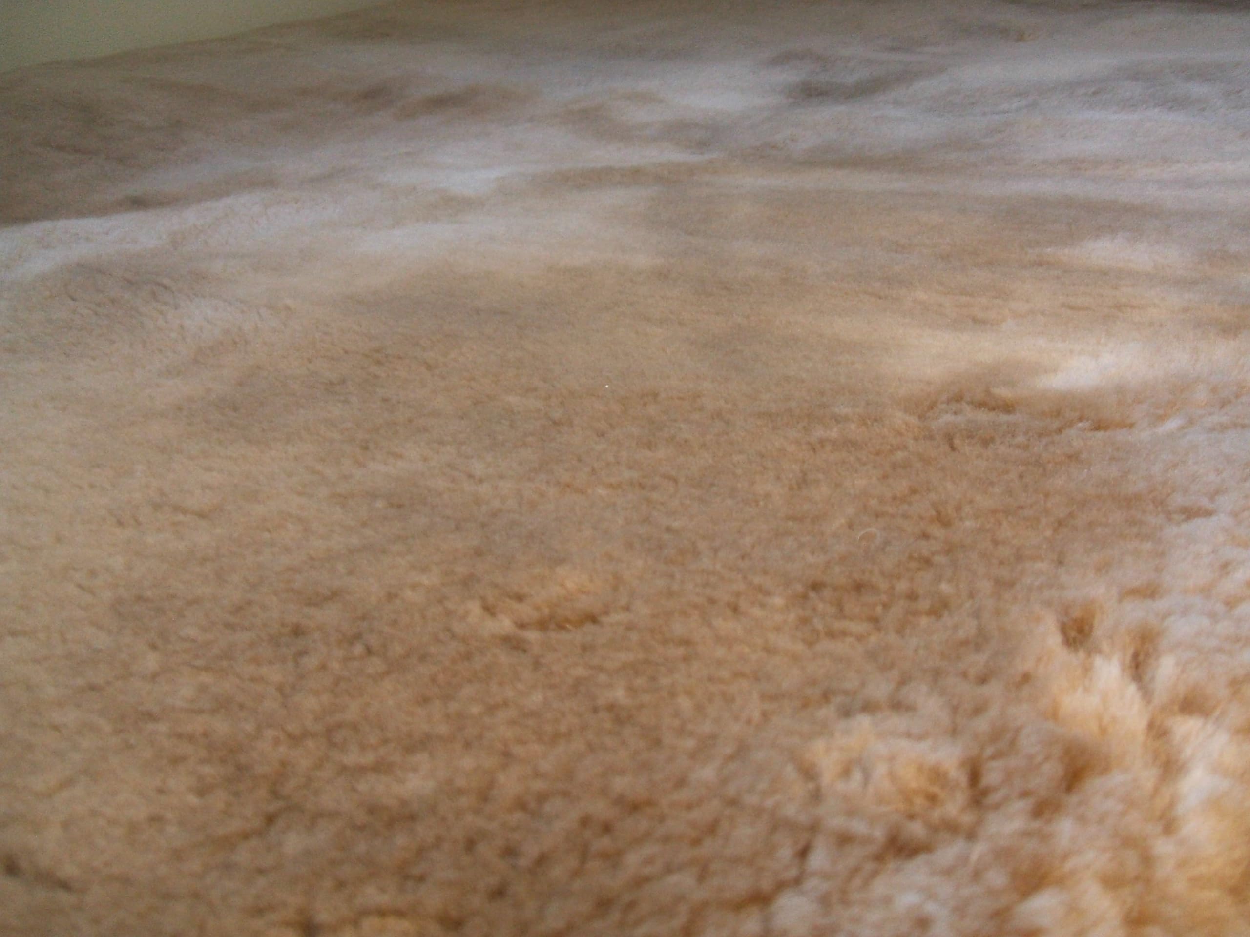 Amazon｜商社未引き取り目玉品＊品質に自信＊オーストラリア原皮