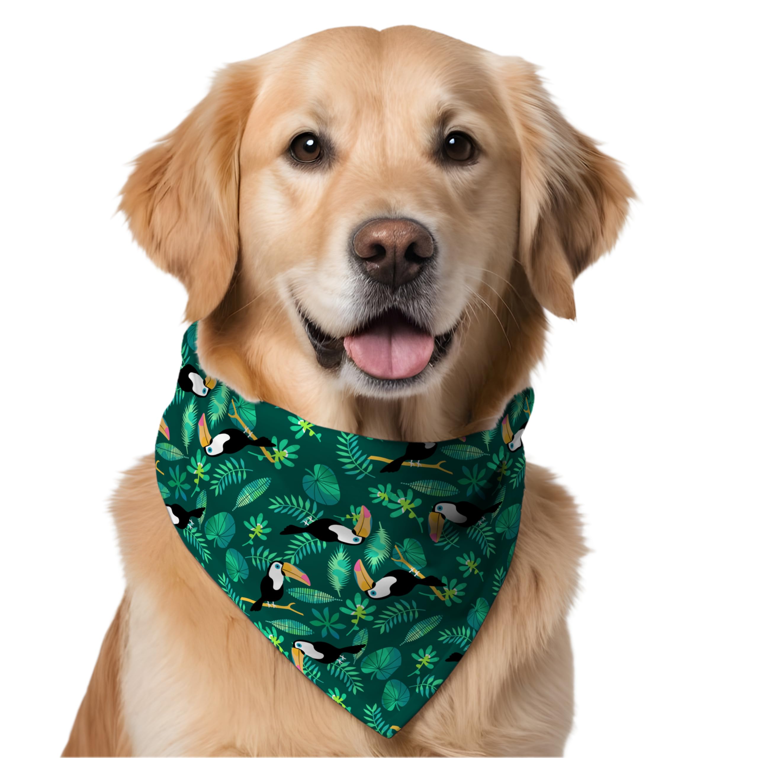 W Brings Toucans Dog Bandana/Scarf | This Stunning Gorgeous Design Dog Bandana Scarf is Perfect Styling Accessory for Dogs Large, Medium & Small. One Size Fits All. (B09V7ZTD7G) Amazon Price History, Amazon Price Tracker