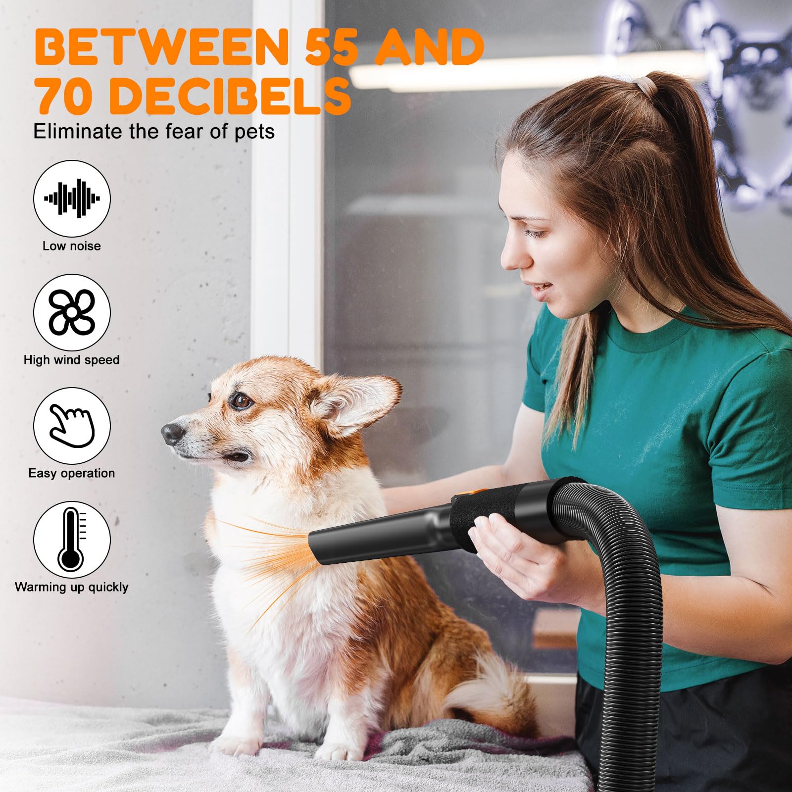 ROPO Pet Hair Dryer, High Power Dog Water Blower, Portable Low Noise Pet Grooming Hair Dryer, Adjustable Temperature and Wind Speed Dog Grooming Kit with 4 Nozzles(Black, SE02)