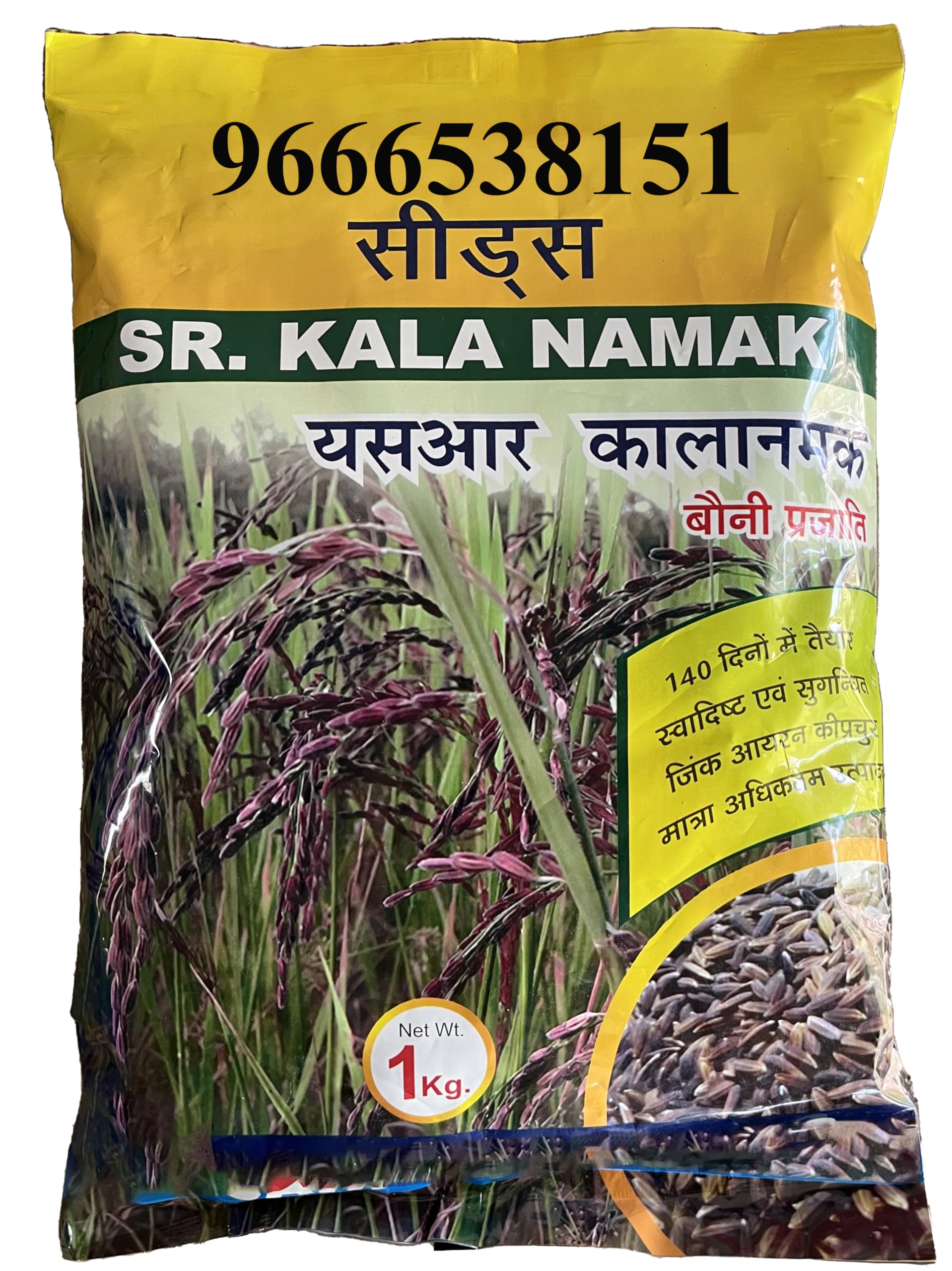 SR Kala Namak Paddy Seed 500g (Small Size Plant) Bauni Prajati | Black Salt Paddy Seeds | Kala Namak Dhan Beej | Black Husk- बौनी प्रजाती (Matured in 140 Day Only)-image-19