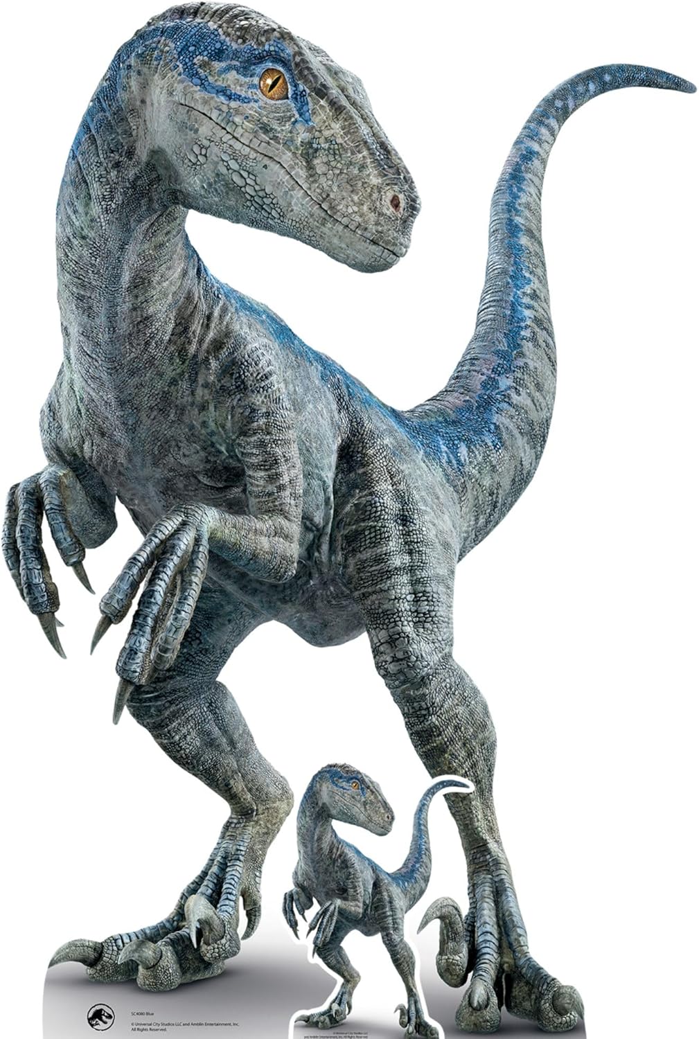 Star Cutouts SC4080 Dinosaur Blue - Raptor Jurassic World Dominion Lifesize Cardboard Cutout with Mini