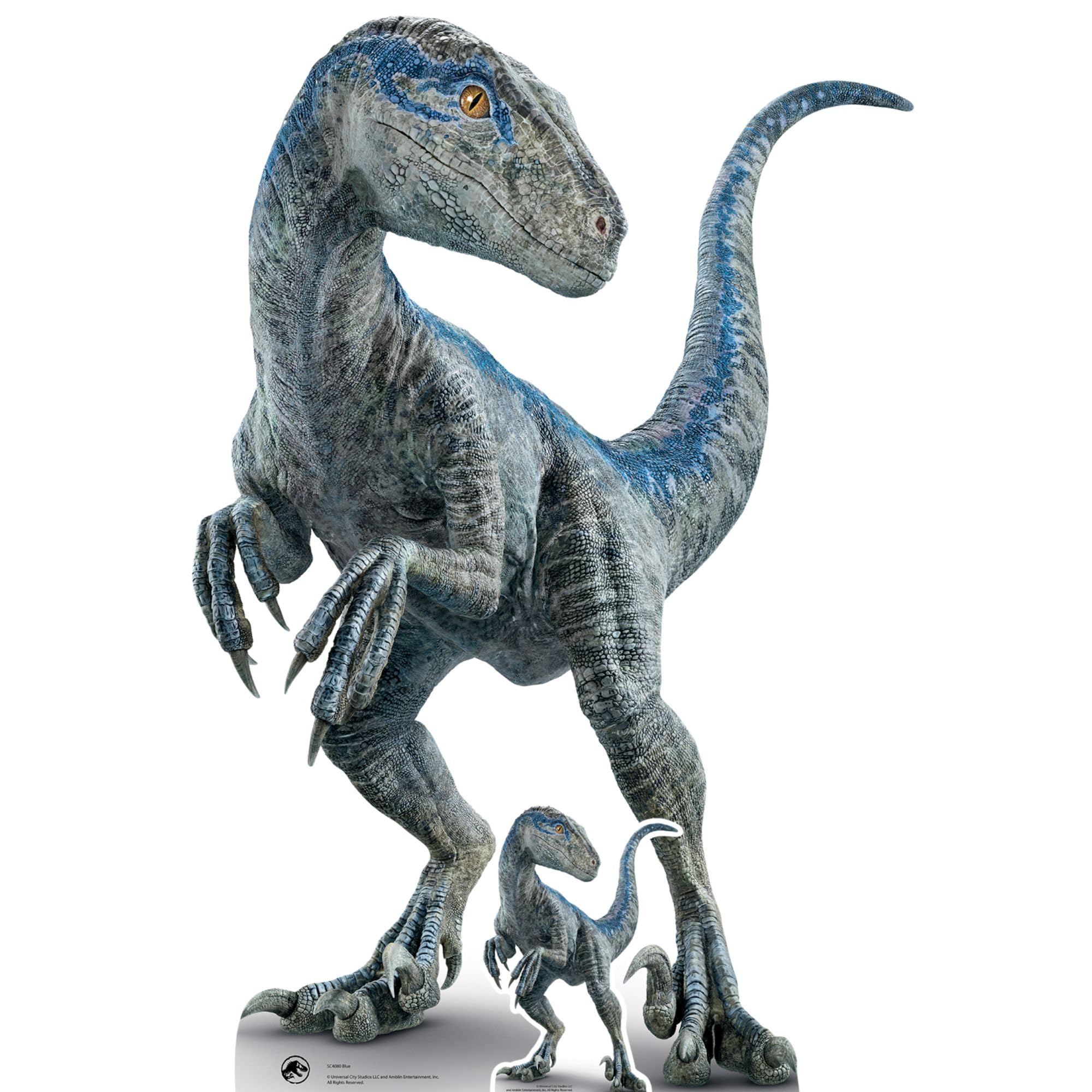 Star Cutouts SC4080 Blue Raptor Jurassic World Dominion Dinosaur Cardboard Cutout – Ideal for Jurassic Park Parties, Birthdays, Fans & Events — image 1