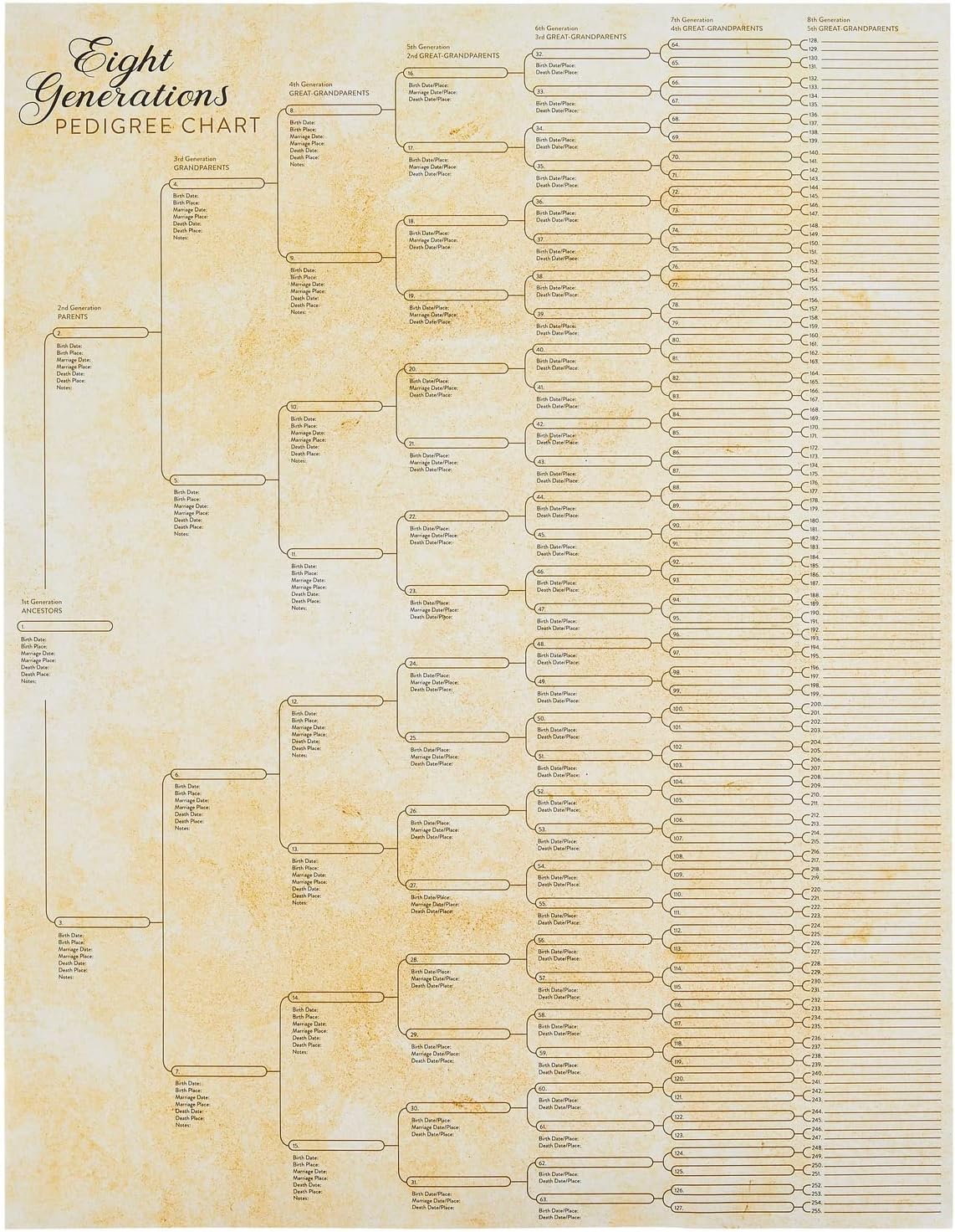 Okuna Outpost Family Tree Charts to Fill in - 8 Generation Genealogy Charts with 255 Name Spaces - Blank Family Tree Posters on Poster Paper for Framing - Pack of 15, 17 x 22 In, Off-White