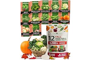 Home-Grown Fall Seeds Assortment for Outdoor Planting