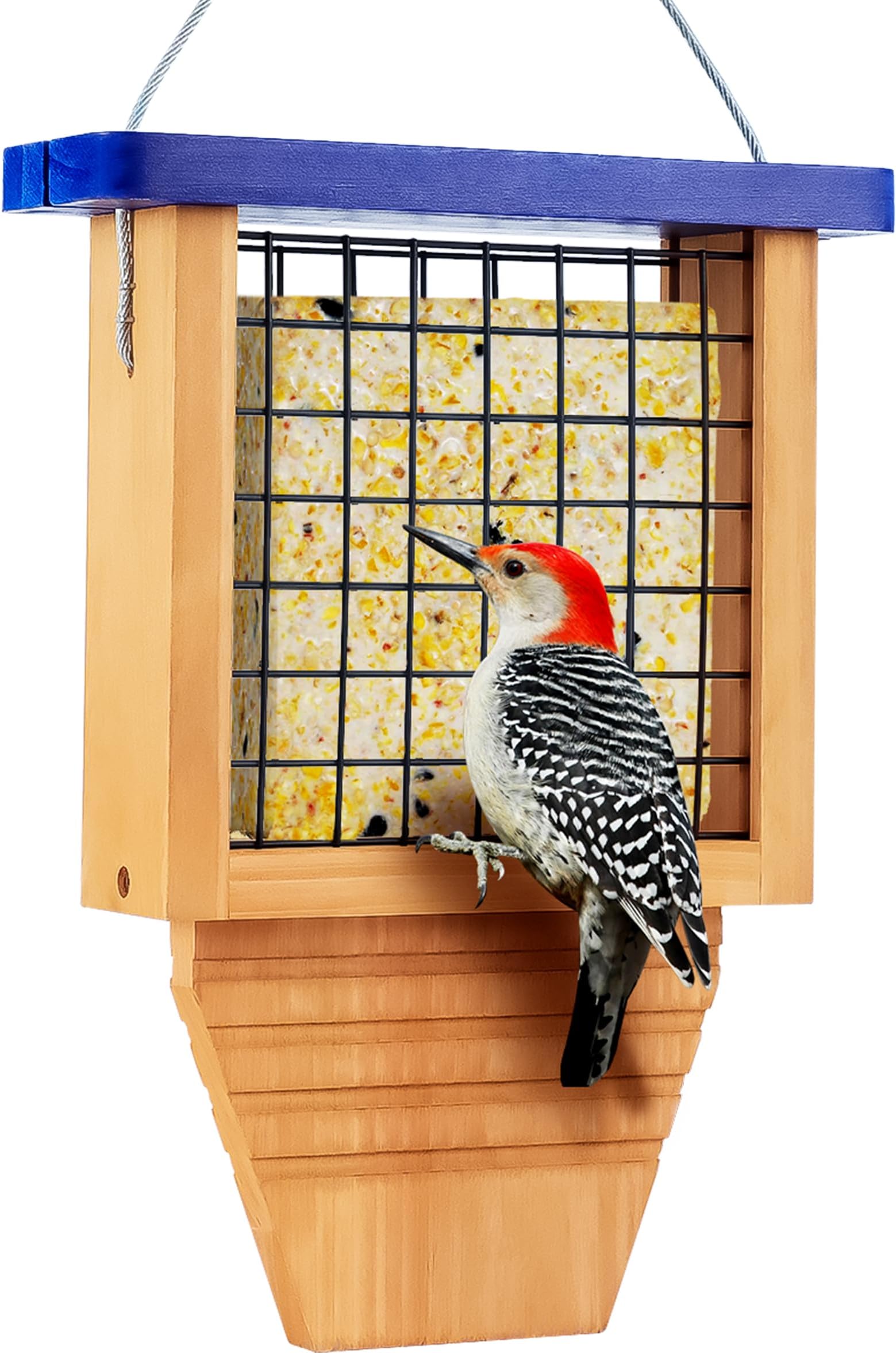 Amazon.com : Kettle Moraine Cedar Single Cake Tail Prop Suet Bird