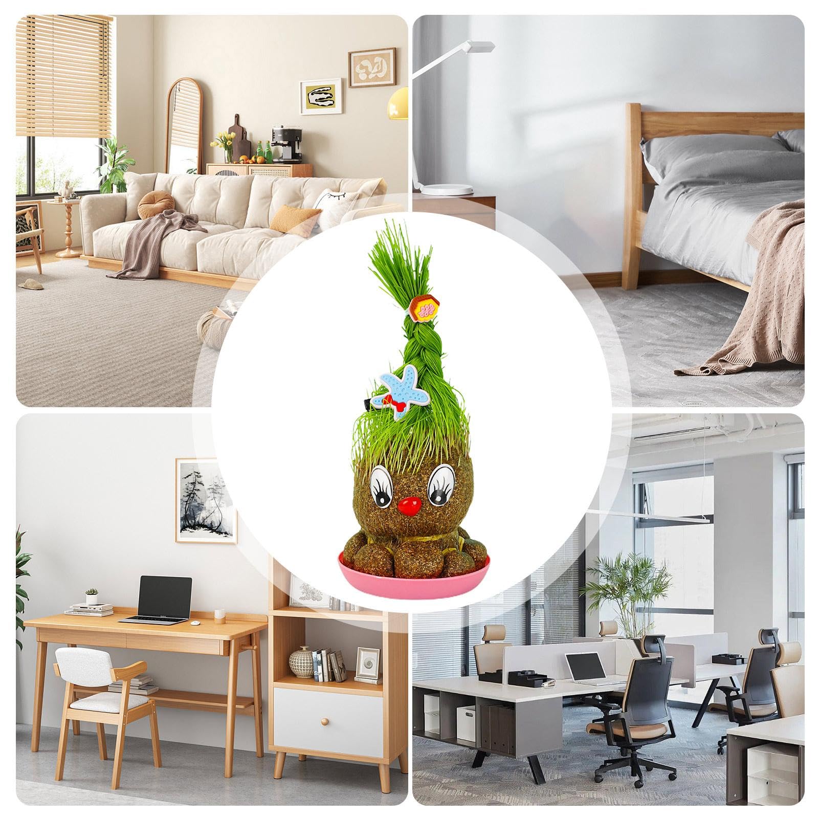 Amazon.co.jp: 鉢植えの頭草人形、草の頭を育てる植物、美しい鉢植えの