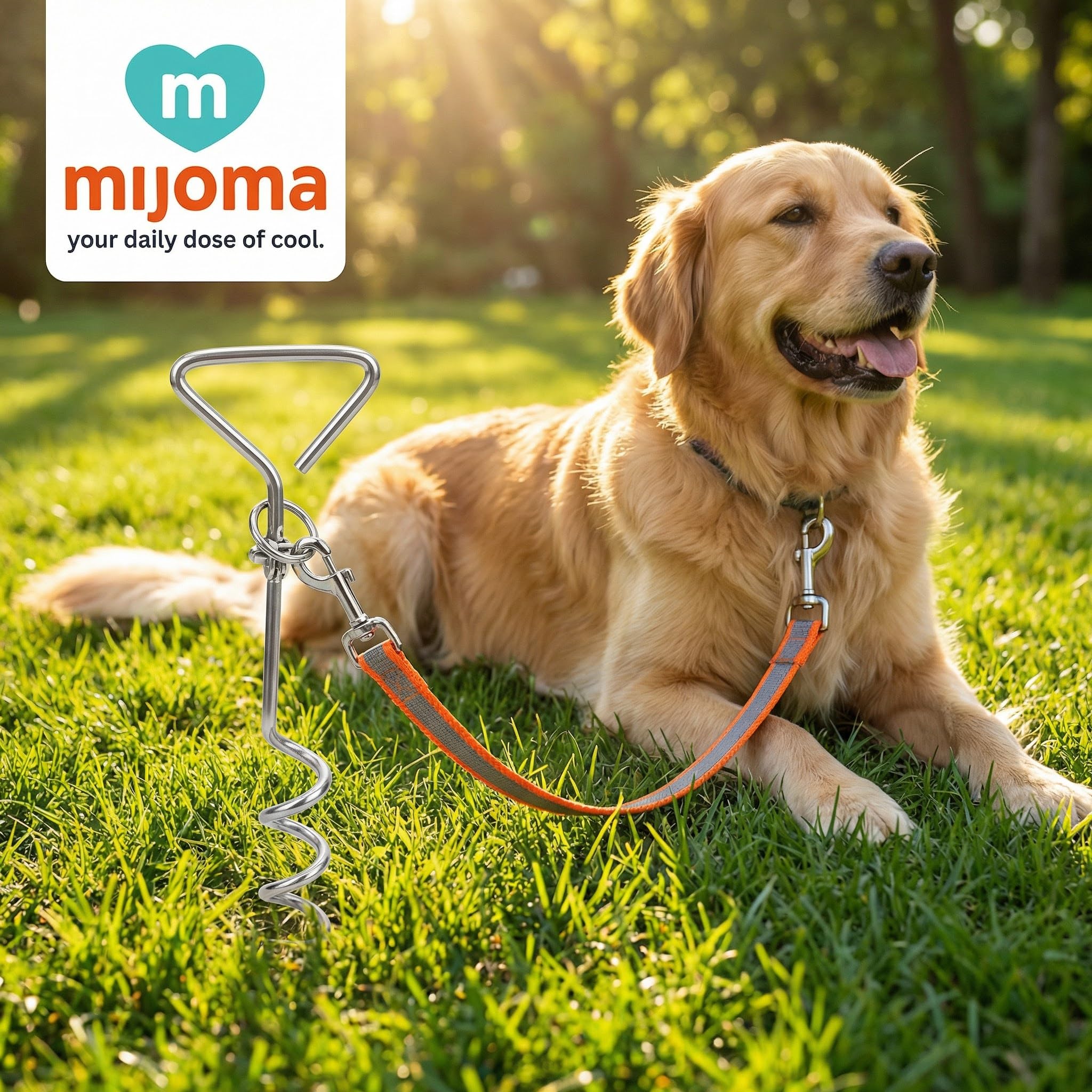 MIJOMA Spirale d'insertion pour chien - Ancrage rotatif avec mousqueton - Acier inoxydable - Ancrage au sol - Jardin Camping
