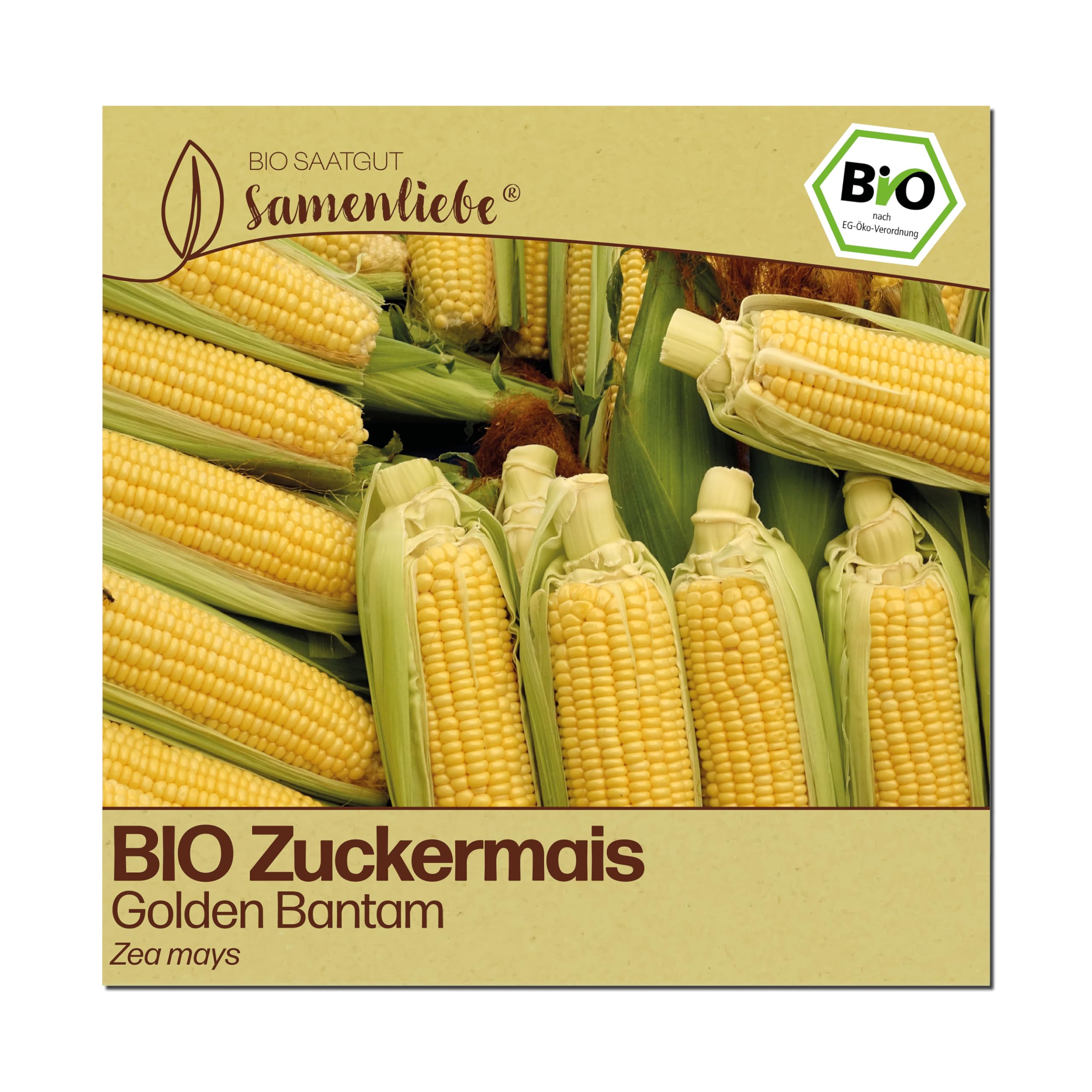 Samenliebe BIO Zuckermais Samen | Mais Golden Bantam - süß - samenfestes BIO Saatgut
