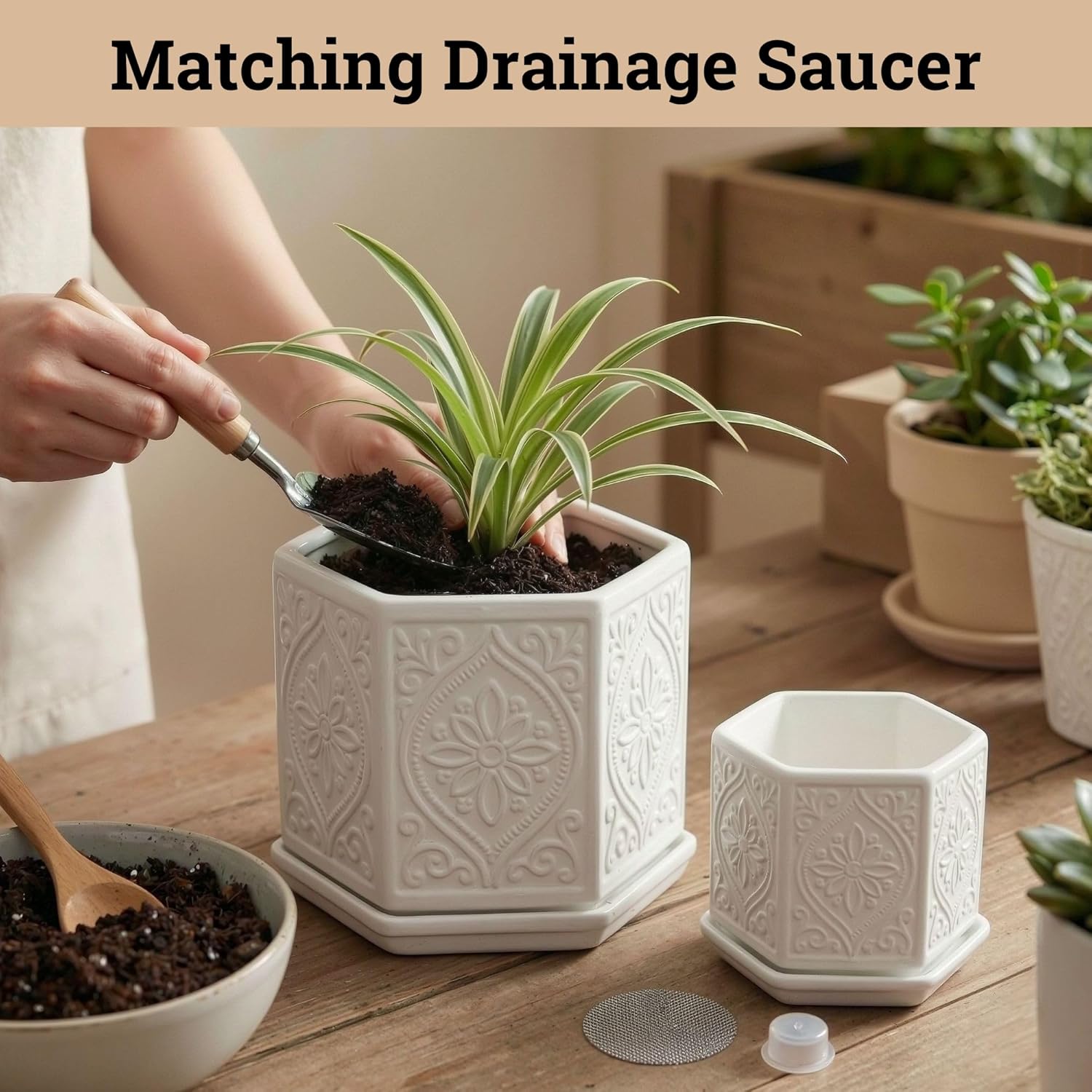 Ceramic Pots for Plants Set of 2 Sizes - 6 Inch and 4 Inch Wide Plant Pots Indoor with Drainage and Saucer - White Planters for Indoor Plants - Ceramic Planter Pot with Tray for Flowers & Houseplants
