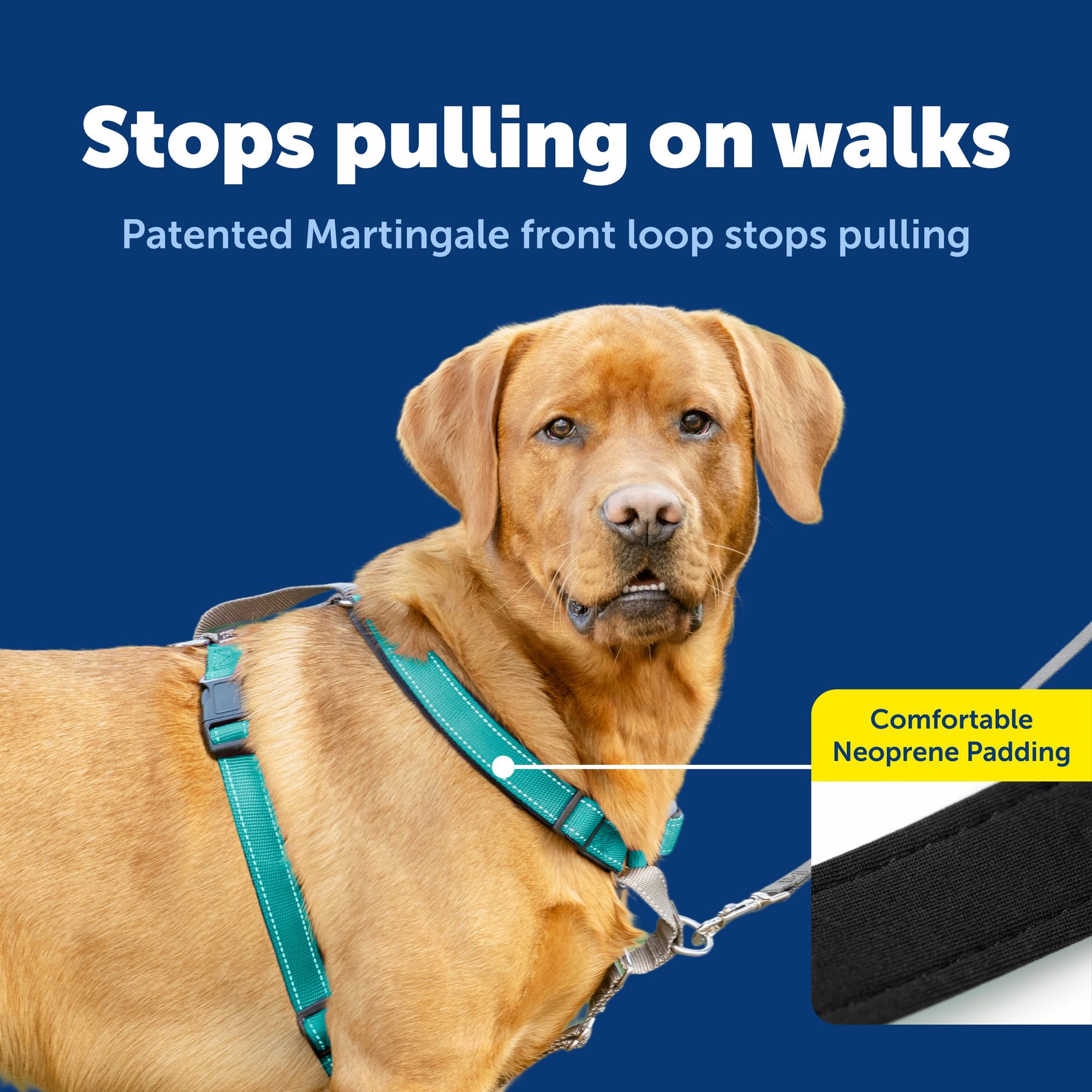 PetSafe : Harnais 3 en 1 et Dispositif de retenue pour Chien