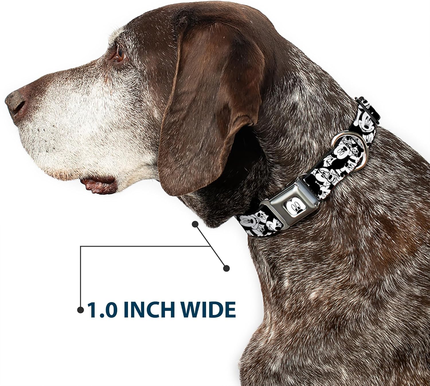 Buckle-Down Seatbelt Buckle Dog Collar - Olaf/Snowflakes Stitch Blues/White - 1" Wide - Fits 9-15" Neck - Small, DC-WDY162-WM