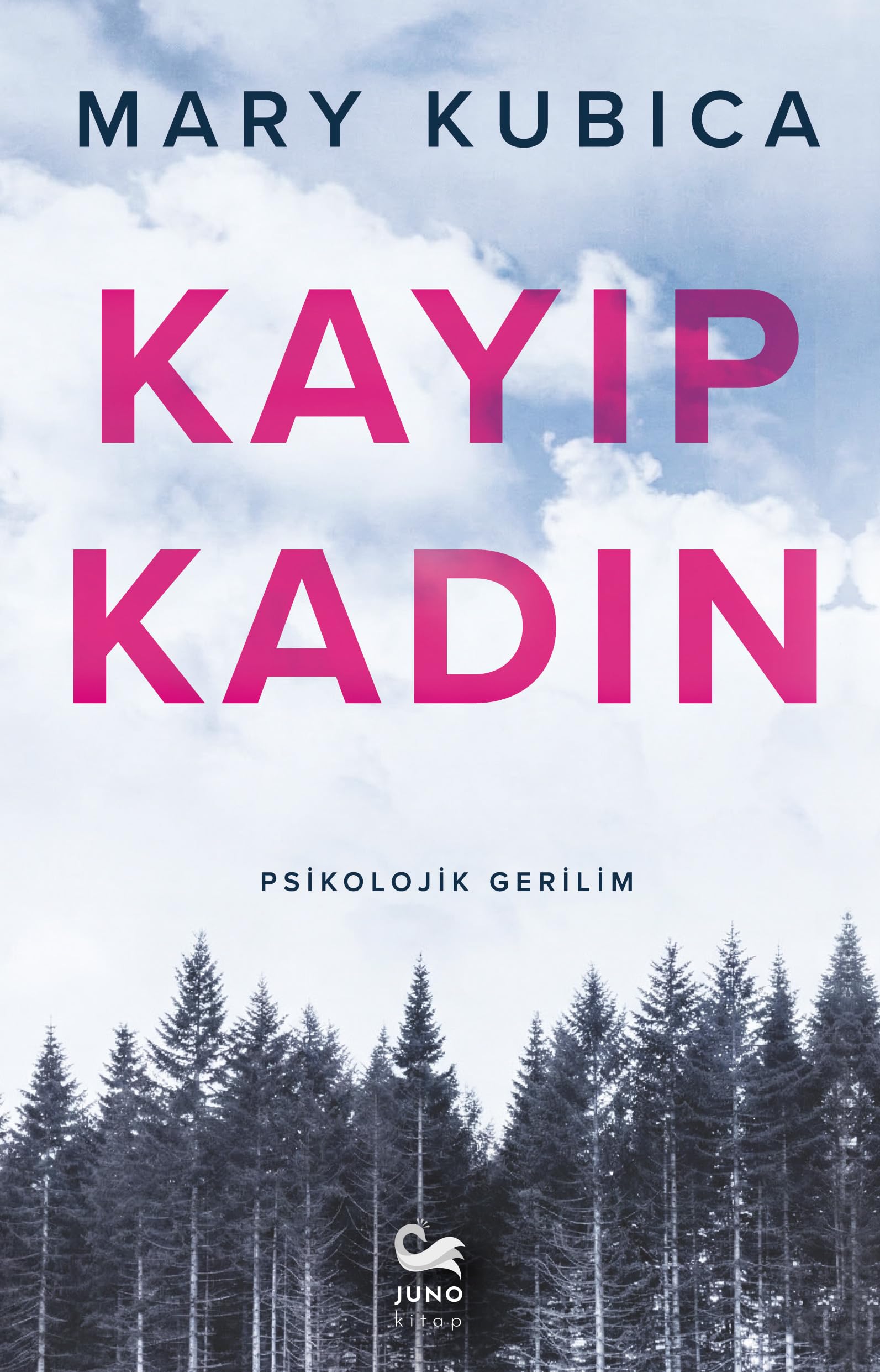 Kayıp Kadın