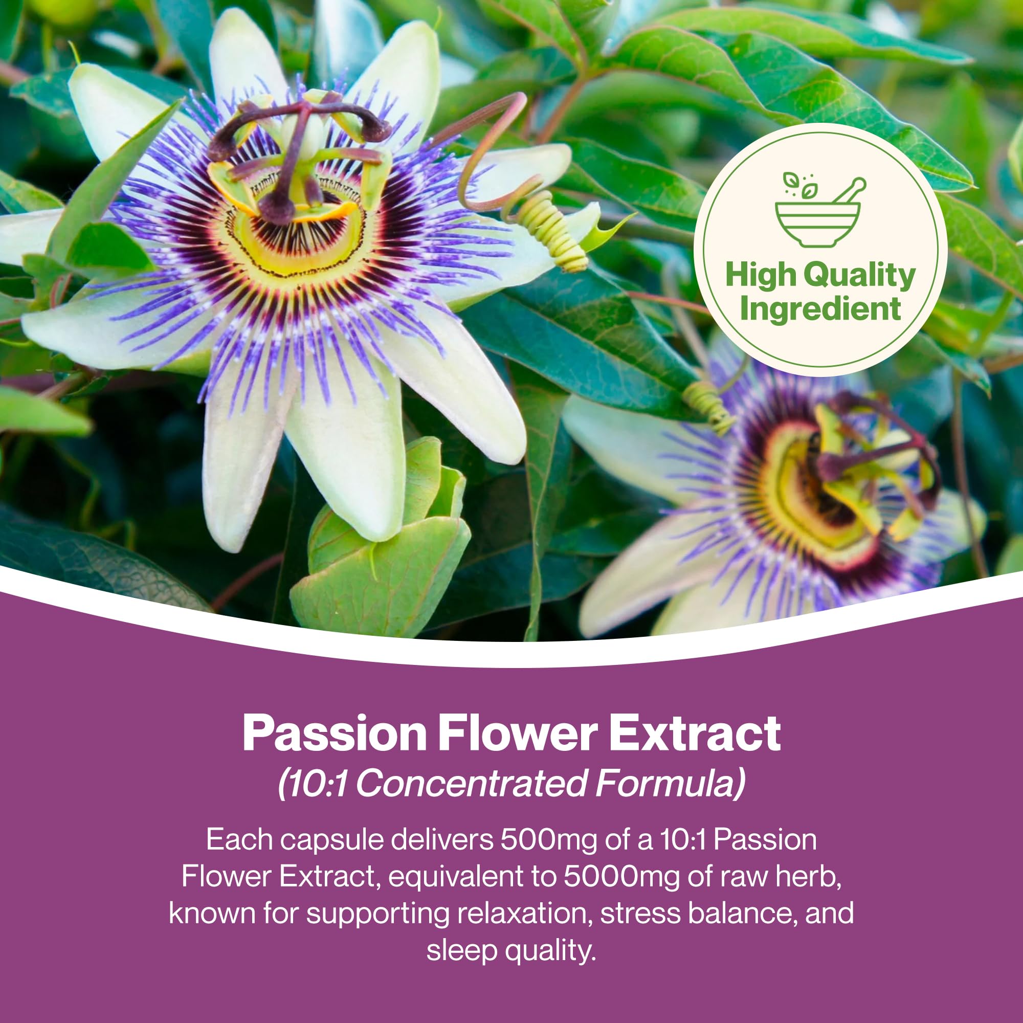 Hepatica Passiflore (Passiflora Incarnata) 5.000 mg Équivalent | Extrait 10:1 500 mg | 120 Gélules Véganes | GMP & laboratoire indépendant